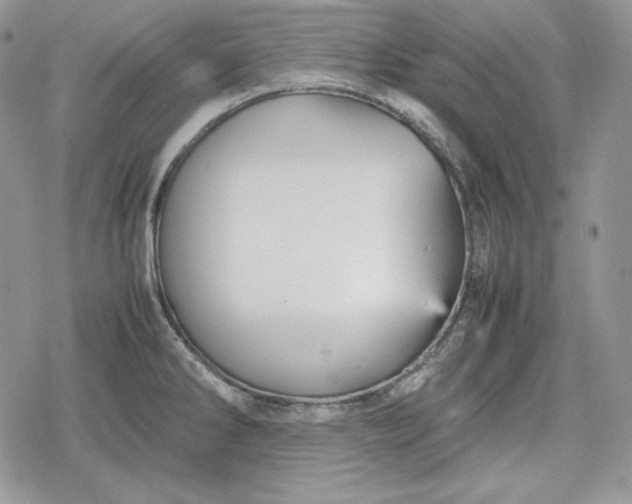 X0000078841286200611271313