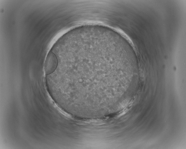 X0000078841287200611271313