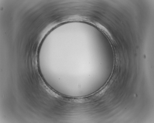 X0000078841288200611271313