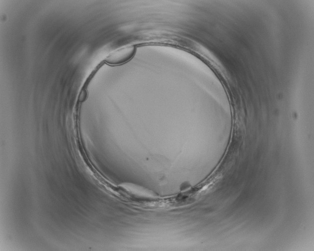 X0000078841291200611271312