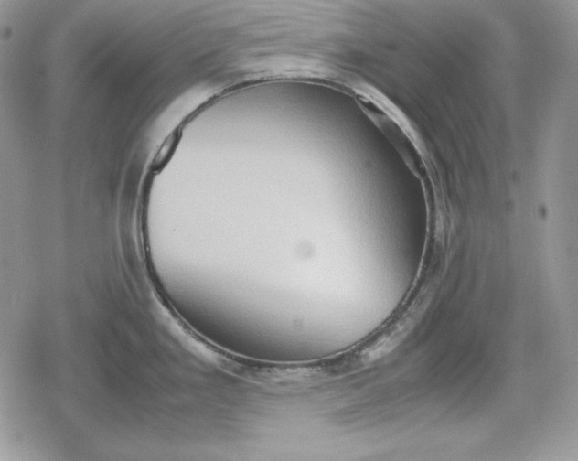 X0000078841293200611271312