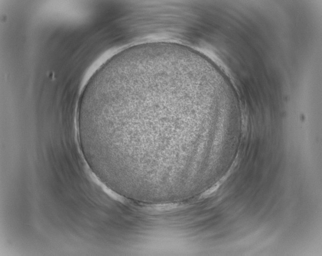 X0000078841294200611271312