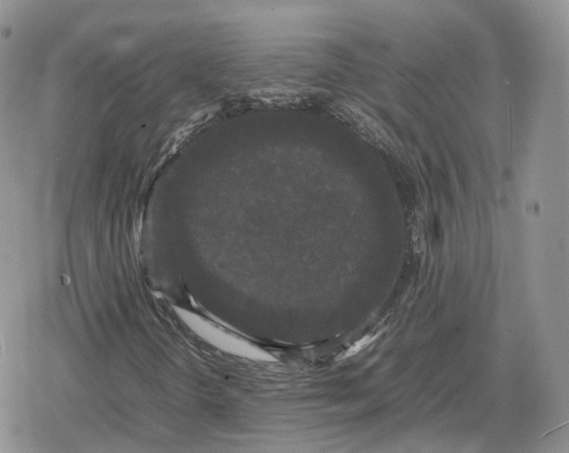 X0000078841298200611271312