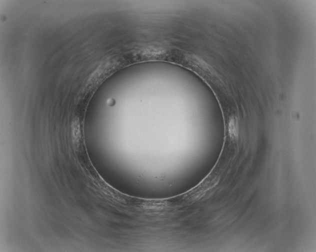 X0000078841299200611271312