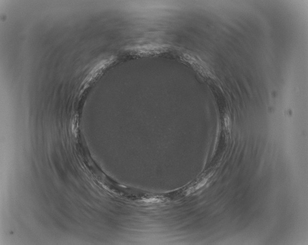 X0000078841300200611271312