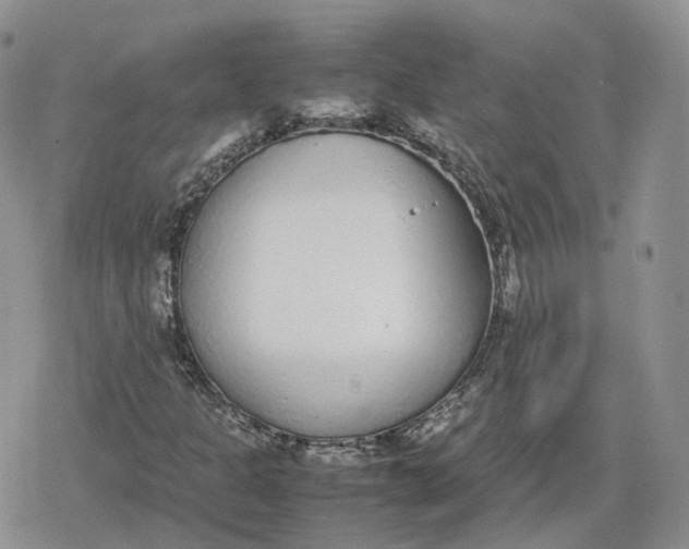 X0000078841301200611271312