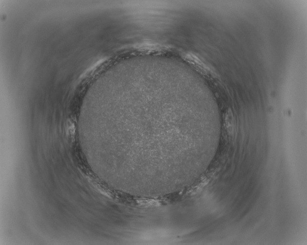 X0000078841302200611271312