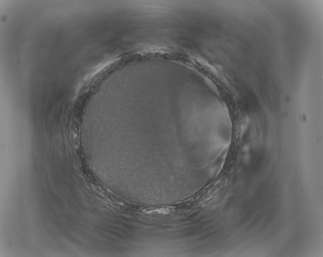 X0000078841303200611271312