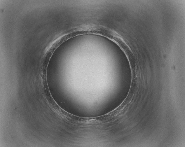 X0000078841304200611271312