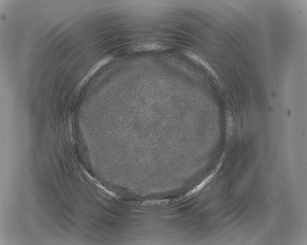 X0000078841305200611271312