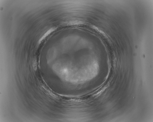 X0000078841306200611271312