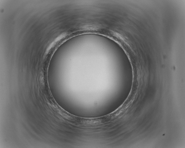 X0000078841307200611271312