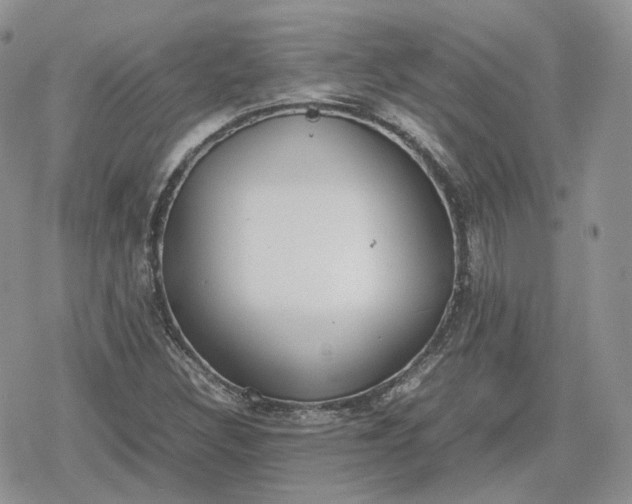 X0000078841308200611271312