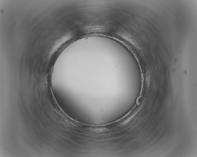 X0000078841309200611271312