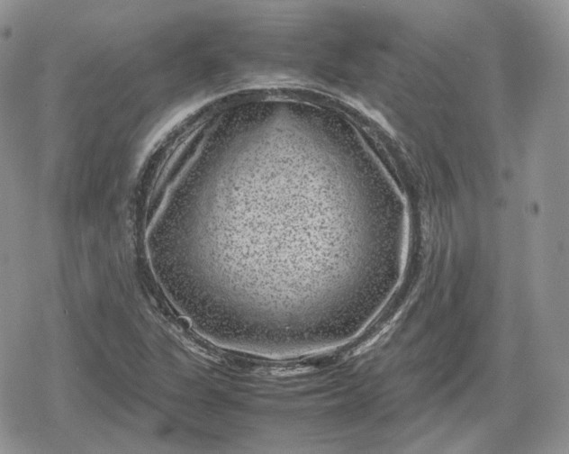 X0000078841311200611271312