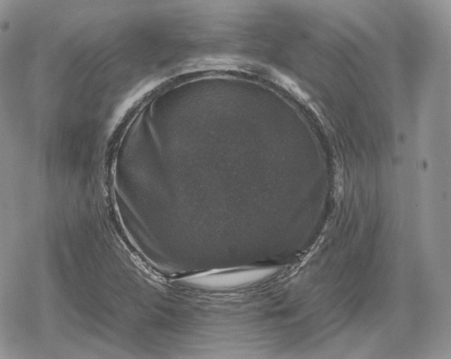 X0000078841312200611271312