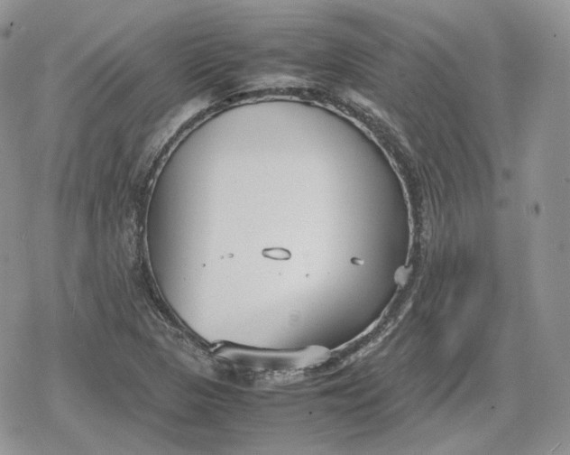 X0000078841313200611271312