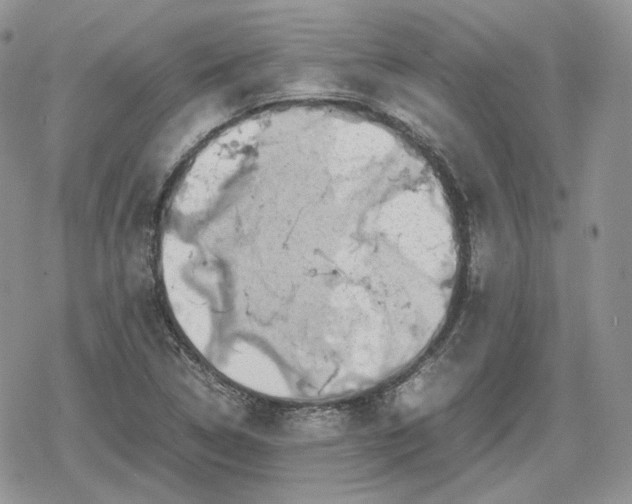 X0000078841314200611271312