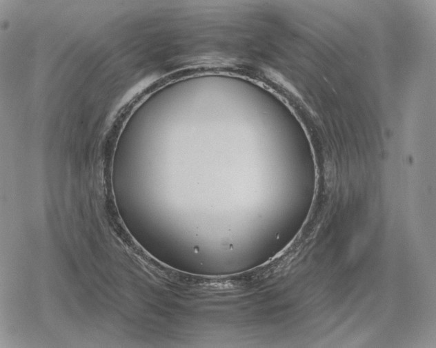 X0000078841315200611271312