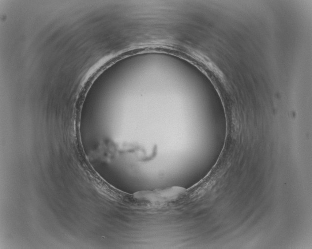 X0000078841316200611271312