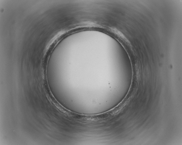 X0000078841318200611271312