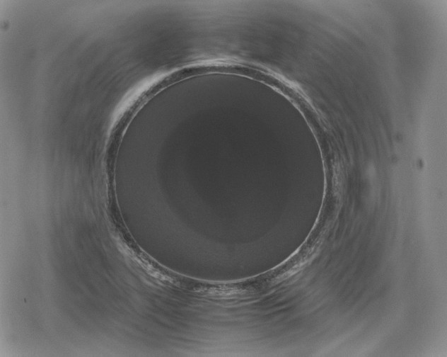 X0000078841319200611271312