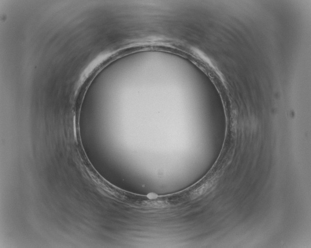 X0000078841320200611271312