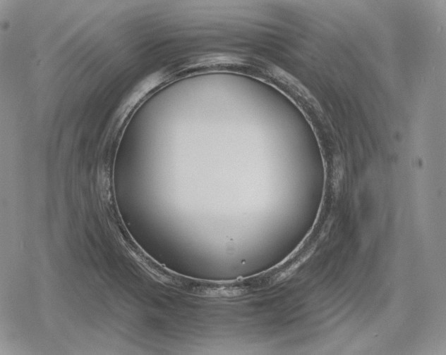 X0000078841321200611271312