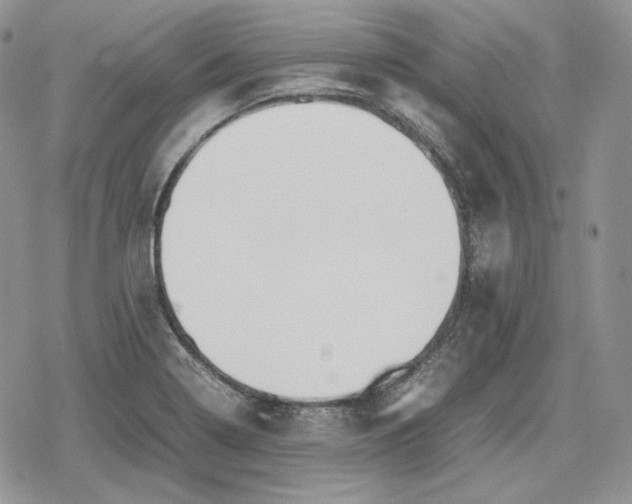 X0000078841322200611271312