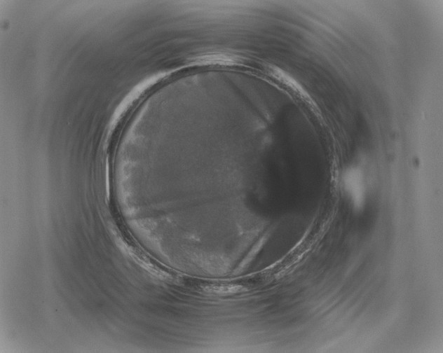 X0000078841323200611271312