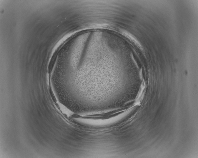 X0000078841324200611271312