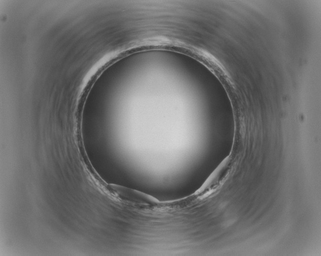 X0000078841326200611271312