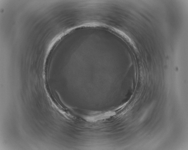 X0000078841327200611271312