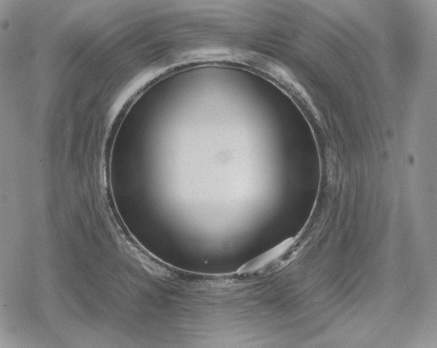 X0000078841328200611271312