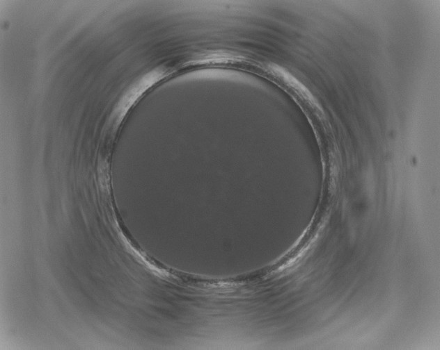 X0000078841329200611271312