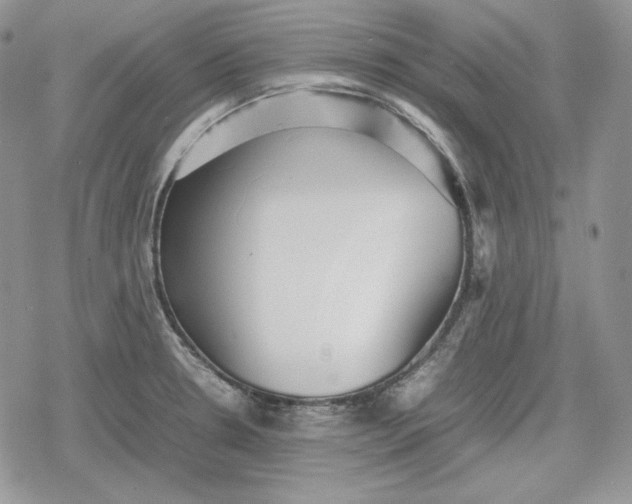 X0000078841330200611271312