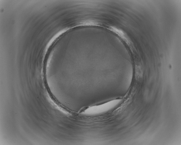 X0000078841331200611271312