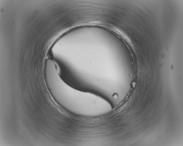 X0000078841332200611271312