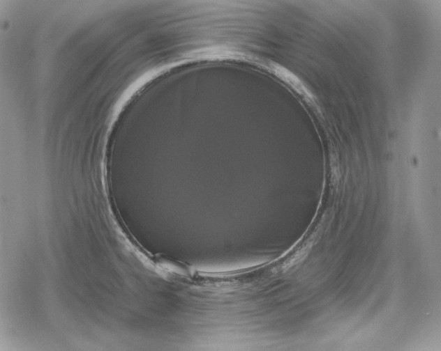 X0000078841334200611271312