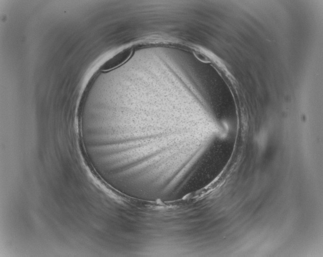 X0000078841335200611271312