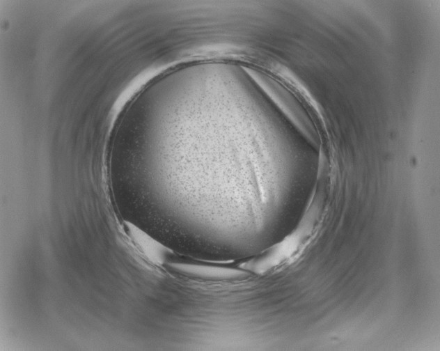 X0000078841336200611271312