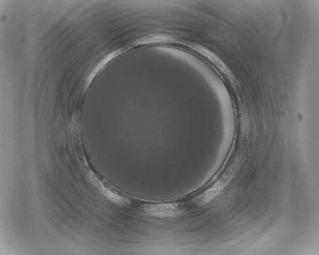 X0000078841337200611271312