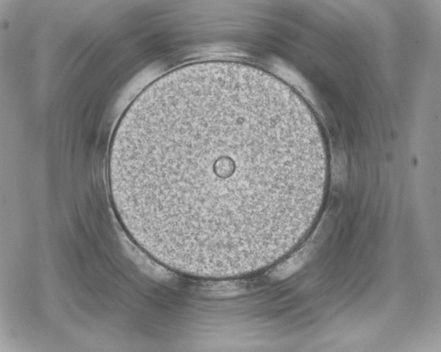 X0000078841338200611271312