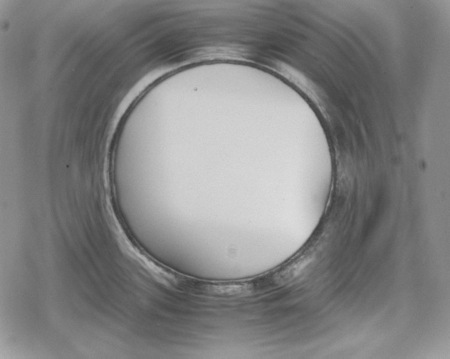 X0000078841339200611271312