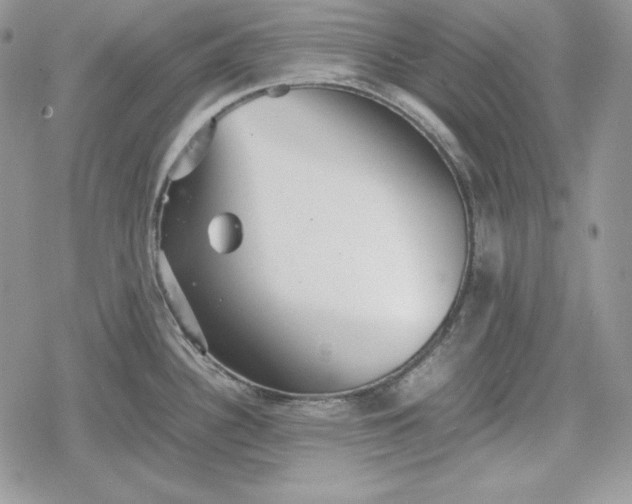 X0000078841340200611271312