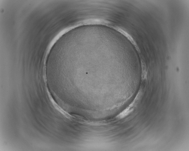 X0000078841342200611271312