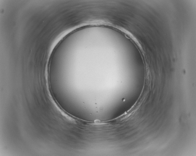 X0000078841343200611271312