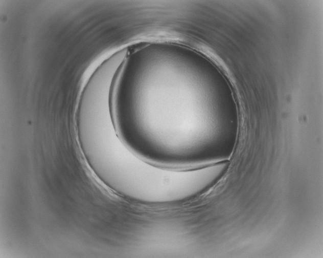 X0000078841344200611271312