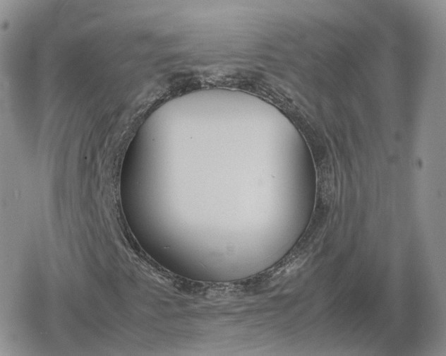 X0000078841345200611271312