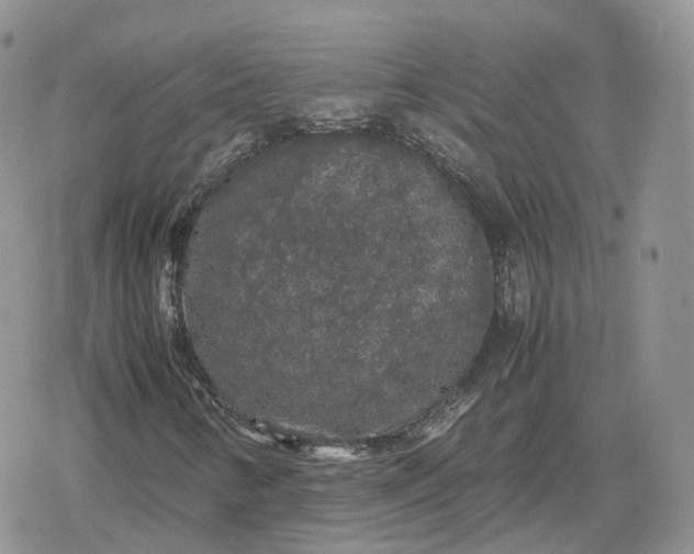 X0000078841346200611271312